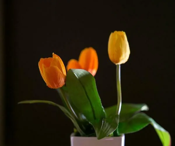 Rotte E Sentieri Frühstückspension