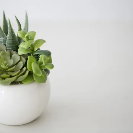 Oda ve Kahvaltı Rotte E Sentieri 4*