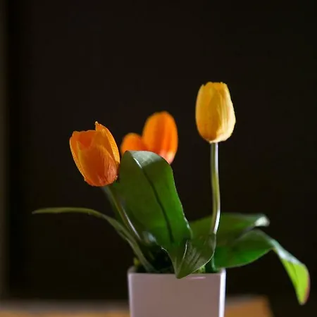 Rotte E Sentieri Oda ve Kahvaltı